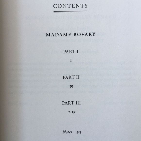 BOOK, Madame Bovary Paperback Fiction Novel, NEW - Picture 5 of 9
